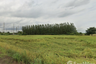 Land for sale in Bang Toei, Chachoengsao