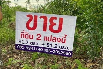 Land for sale in Bueng Nam Rak, Pathum Thani