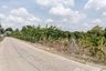 Land for sale in Bang Luang, Pathum Thani