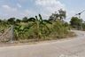 Land for sale in Bang Luang, Pathum Thani