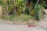 Land for sale in Nin Phet, Nakhon Pathom