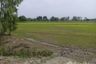 Land for sale in Wang Krachom, Nakhon Nayok