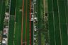 Land for sale in Bueng Bon, Pathum Thani