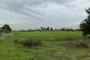 Land for sale in Bueng Bon, Pathum Thani