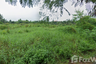 Land for sale in Ban Ko, Samut Sakhon