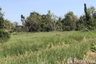 Land for sale in Wat Lamut, Nakhon Pathom