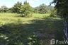 Land for sale in Mueang Chum, Chiang Rai