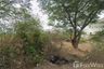 Land for sale in Phong Sawai, Ratchaburi