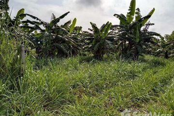 Land for sale in Wang Sai, Nakhon Ratchasima