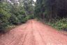 Land for sale in Fai Kaeo, Nan