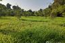 Land for sale in Khuan Lang, Songkhla
