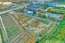 Land for sale in Wang Taku, Nakhon Pathom