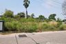 Land for sale in Nong Mai Daeng, Chonburi