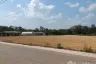 Land for sale in Tha Chang, Chanthaburi