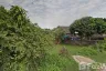 Land for sale in Rop Wiang, Chiang Rai
