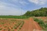 Land for sale in Wang Sai, Nakhon Ratchasima