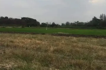 Land for sale in Tan Diao, Saraburi