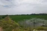 Land for sale in Sala Daeng, Chachoengsao