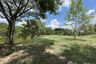 Land for sale in Tha Sai, Chiang Rai