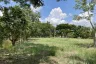 Land for sale in Tha Sai, Chiang Rai