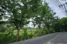 Land for sale in Khlong Phra Udom, Nonthaburi