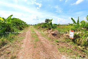 Land for sale in Na Mai, Pathum Thani