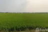 Land for sale in Bang Len, Nakhon Pathom