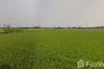 Land for sale in Bang Len, Nakhon Pathom