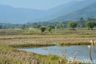 Land for sale in Nang Lae, Chiang Rai