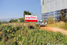 Land for sale in Nang Lae, Chiang Rai