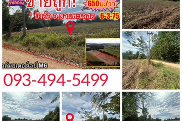 Land for sale in Bueng O, Nakhon Ratchasima