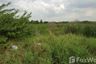 Land for sale in Lak Hok, Pathum Thani