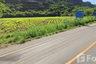 Land for sale in Phaya Yen, Nakhon Ratchasima