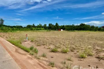 Land for sale in Bueng Ba, Pathum Thani