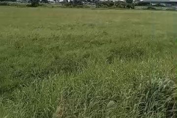 Land for sale in Chiang Rak Noi, Phra Nakhon Si Ayutthaya