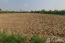 Land for sale in Khlong Khuean, Chachoengsao