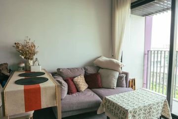 1 Bedroom Condo for rent in XT Ekkamai, Khlong Tan Nuea, Bangkok