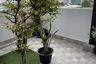 3 Bedroom Condo for rent in Sun Palace Condominium, Bang Kapi, Bangkok near MRT Thailand Cultural Centre