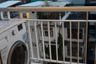 1 Bedroom Condo for rent in Life @ Phahon - Ari, Phaya Thai, Bangkok near BTS Saphan Kwai