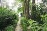 3 Bedroom Condo for rent in Prompak Gardens, Khlong Tan Nuea, Bangkok near BTS Phrom Phong