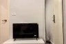 1 Bedroom Condo for rent in Blue Sukhumvit 89, Bang Chak, Bangkok near BTS Bang Chak