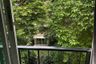 1 Bedroom Condo for rent in The Seed Terre Ratchayothin, Lat Yao, Bangkok near MRT Phahon Yothin