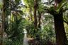 3 Bedroom Townhouse for rent in Prompak Gardens, Khlong Tan Nuea, Bangkok near BTS Phrom Phong