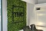 Commercial for rent in Khlong Toei, Bangkok