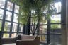 7 Bedroom Office for rent in Phlapphla, Bangkok
