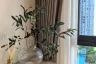 1 Bedroom Condo for rent in Life Sathorn Sierra, Talat Phlu, Bangkok near BTS Talat Phlu
