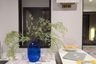 1 Bedroom Condo for rent in Life Sathorn Sierra, Talat Phlu, Bangkok near BTS Talat Phlu