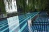 1 Bedroom Condo for rent in Noble Revolve Ratchada, Huai Khwang, Bangkok near MRT Thailand Cultural Centre