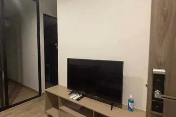 1 Bedroom Condo for rent in Samrong Nuea, Samut Prakan near BTS Bearing