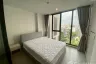 1 Bedroom Condo for rent in Serio Sukhumvit 50, Phra Khanong, Bangkok near BTS On Nut